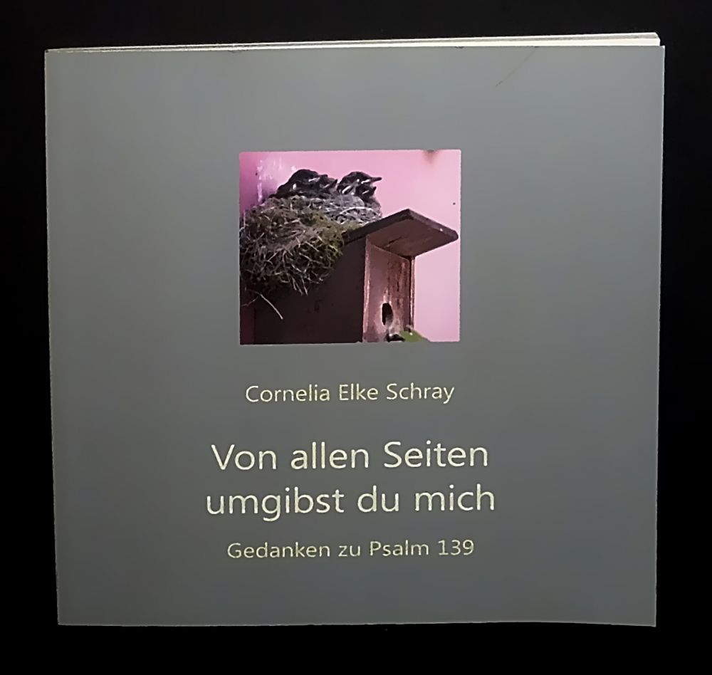 Cornelia Elke Schray - Von allen Seiten umgibst du mich - Gedanken zum Psalm 139 - Buch