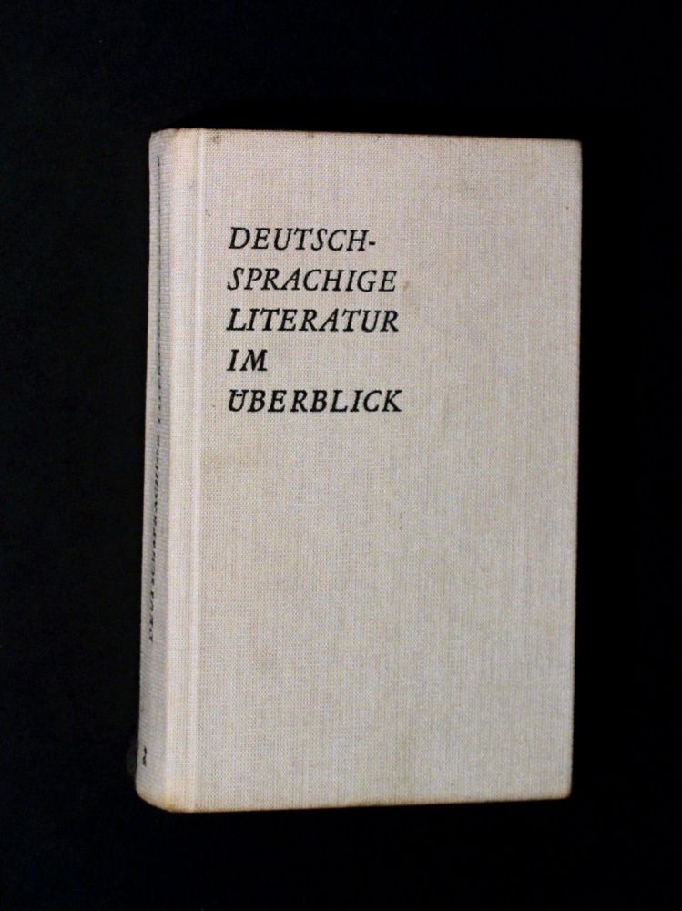 Hans Georg Werner - Deutschsprachige Literatur im Überblick - Buch